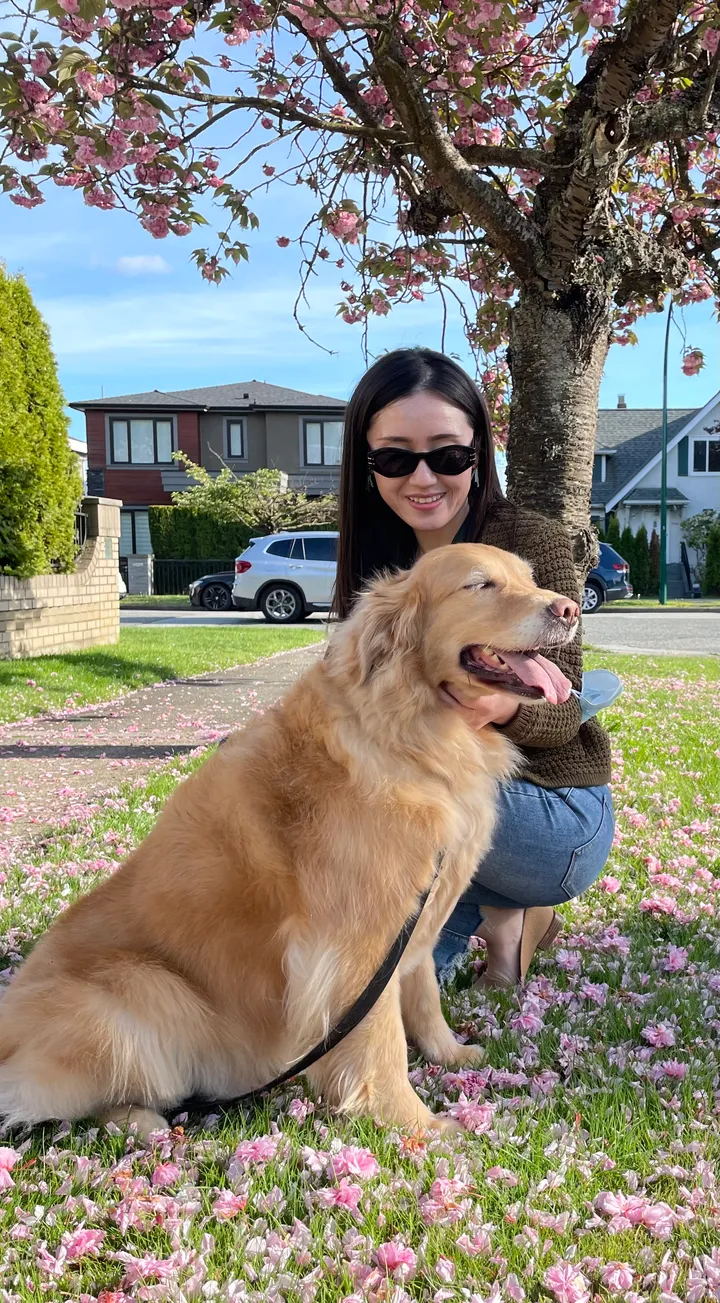 Cute dog picture most definitely