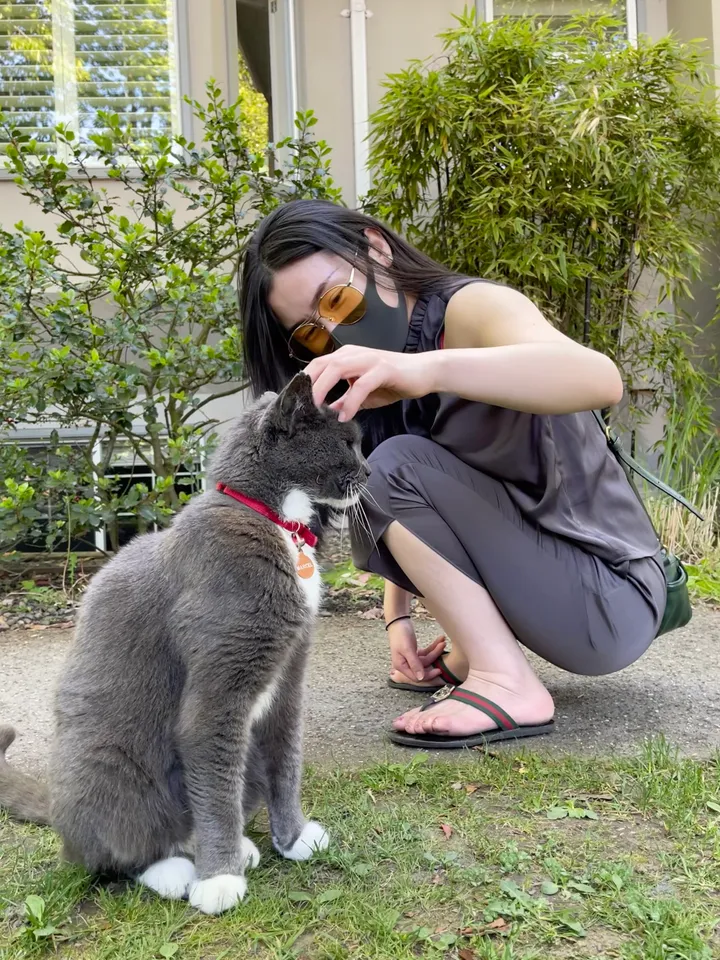 Cute dog picture most definitely