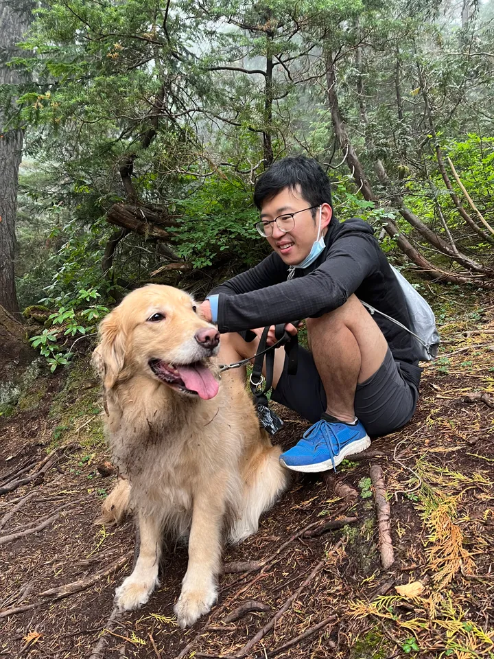 Cute dog picture most definitely