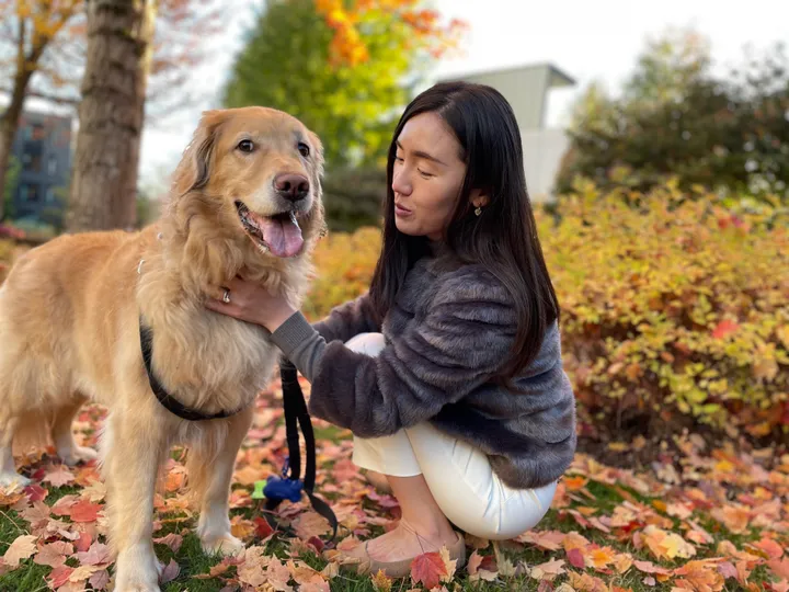 Cute dog picture most definitely