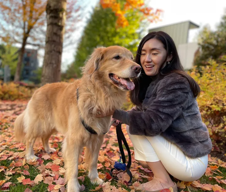 Cute dog enjoying lots of love